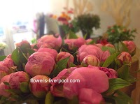 Passion For Flowers (Liverpool) 1063694 Image 3